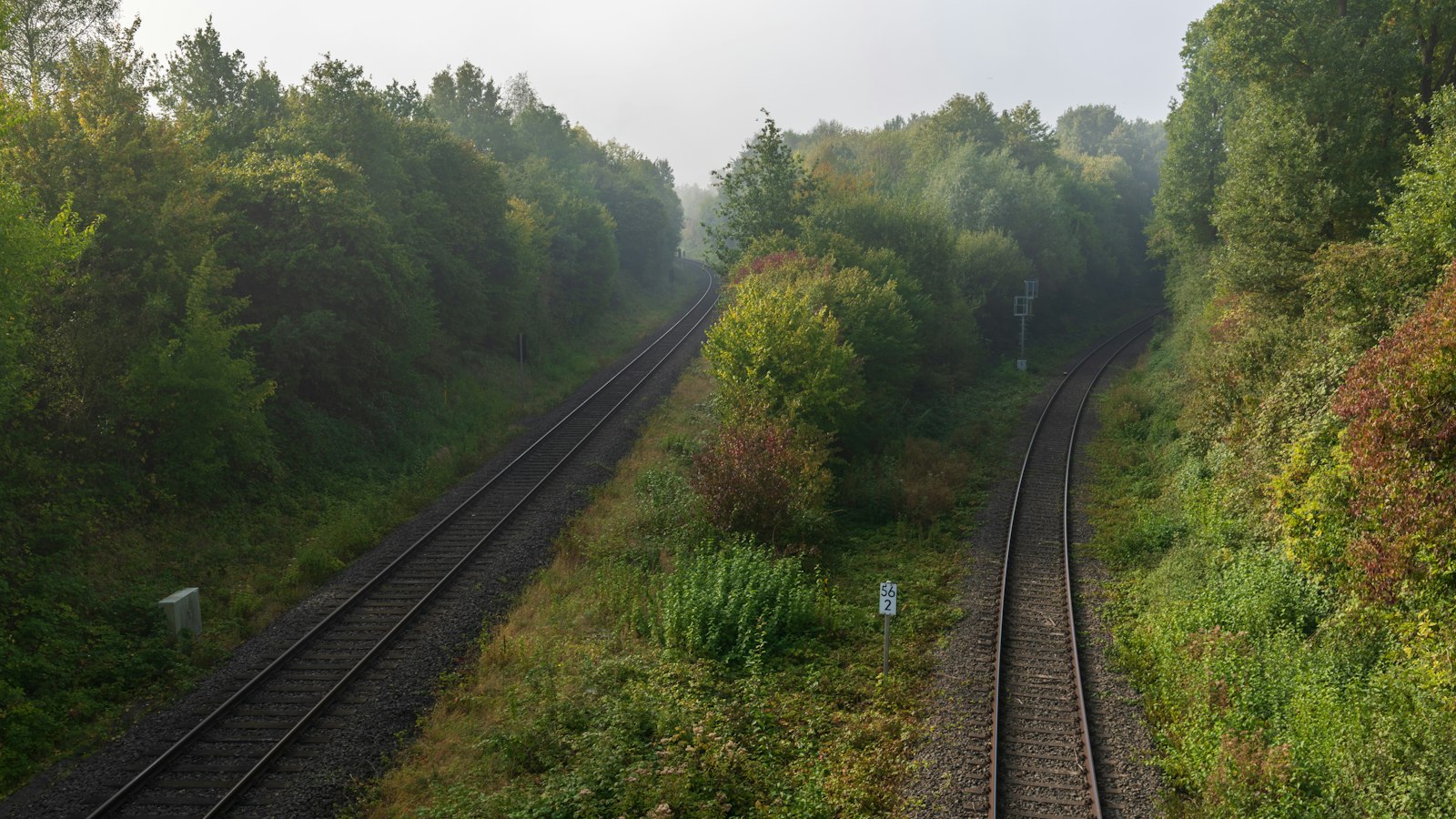 Two railway tracks diverging through green forest, running in parallel from a single junction